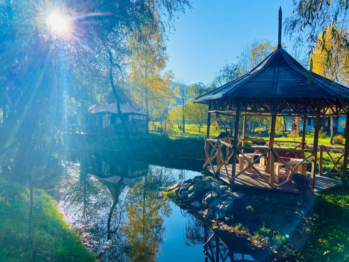 Viewtopia The Secret Land Valea Drăganului 外观 照片
