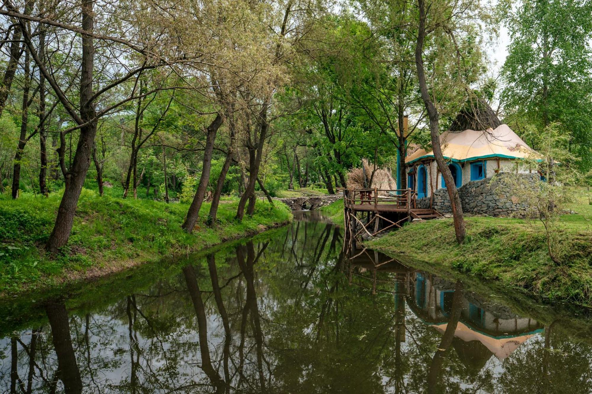 Viewtopia The Secret Land Valea Drăganului 外观 照片