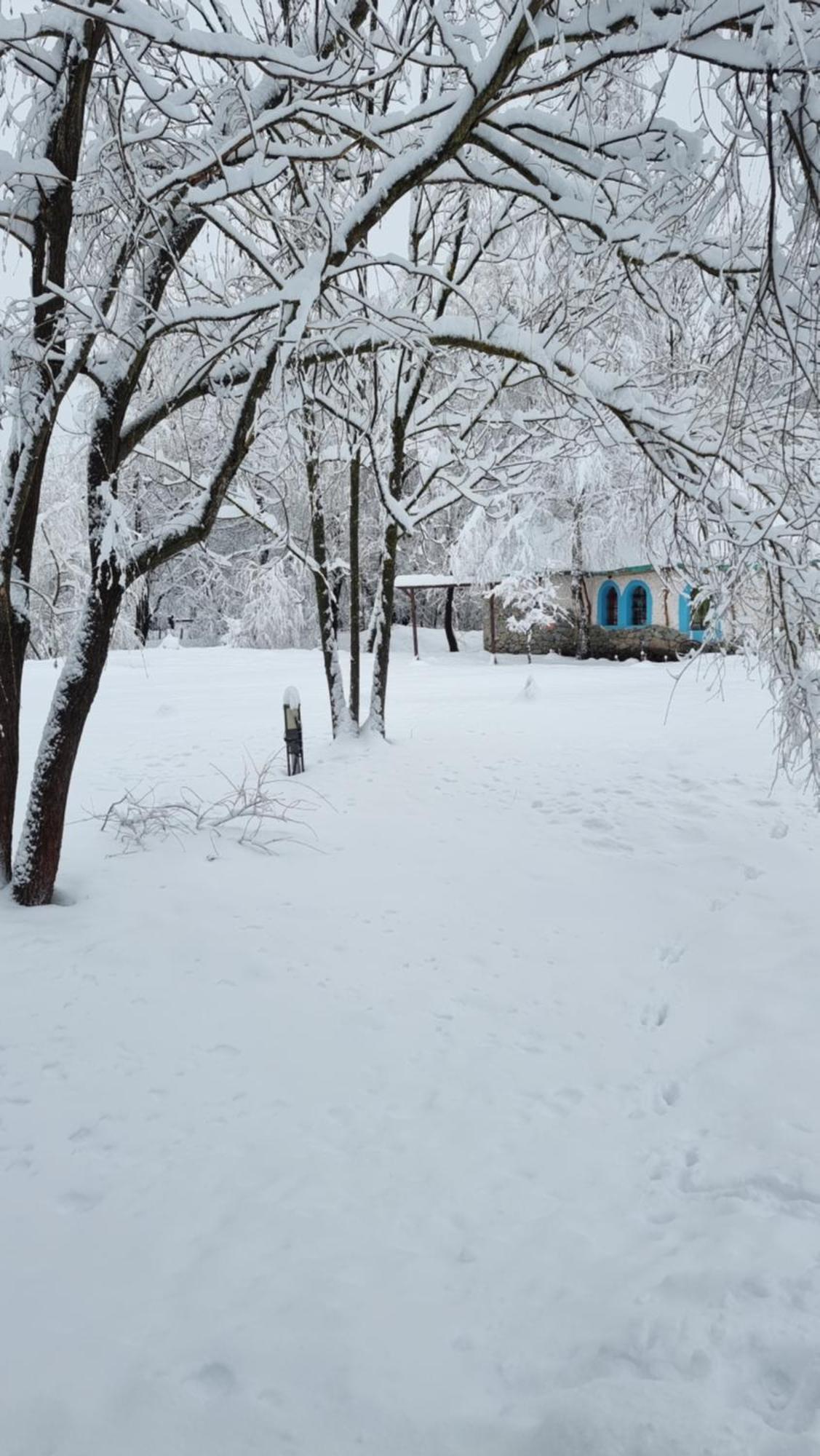 Viewtopia The Secret Land Valea Drăganului 外观 照片