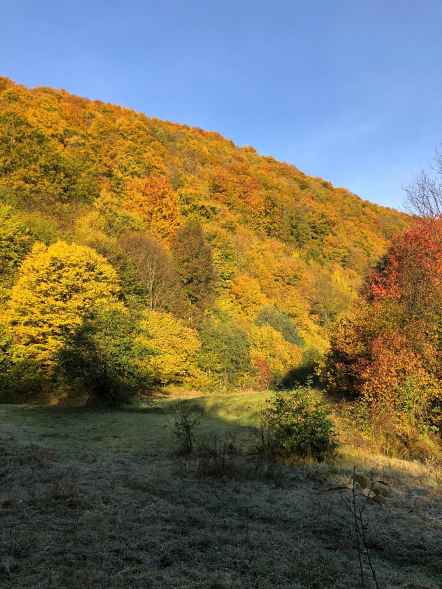 Viewtopia The Secret Land Valea Drăganului 外观 照片