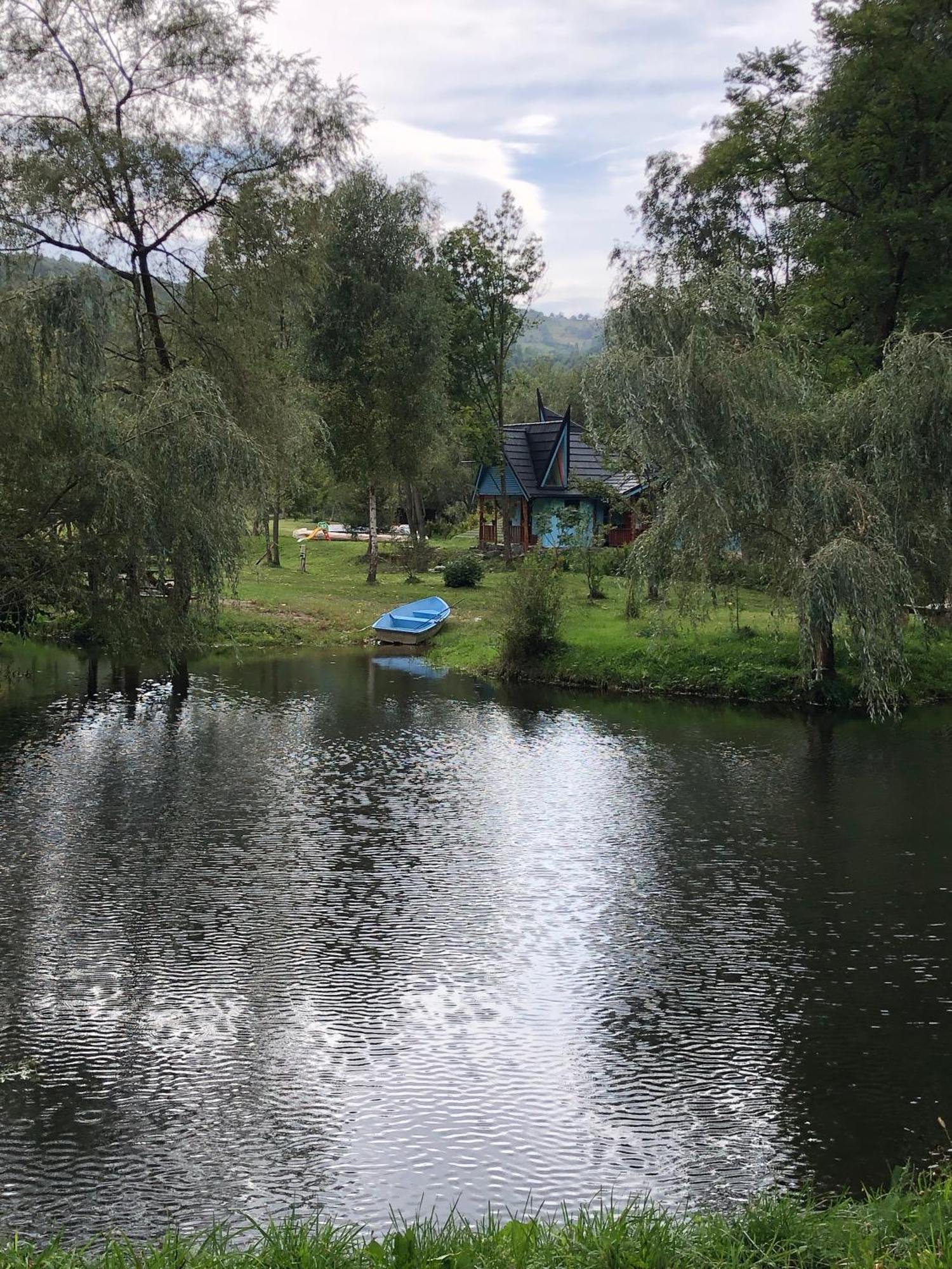 Viewtopia The Secret Land Valea Drăganului 外观 照片