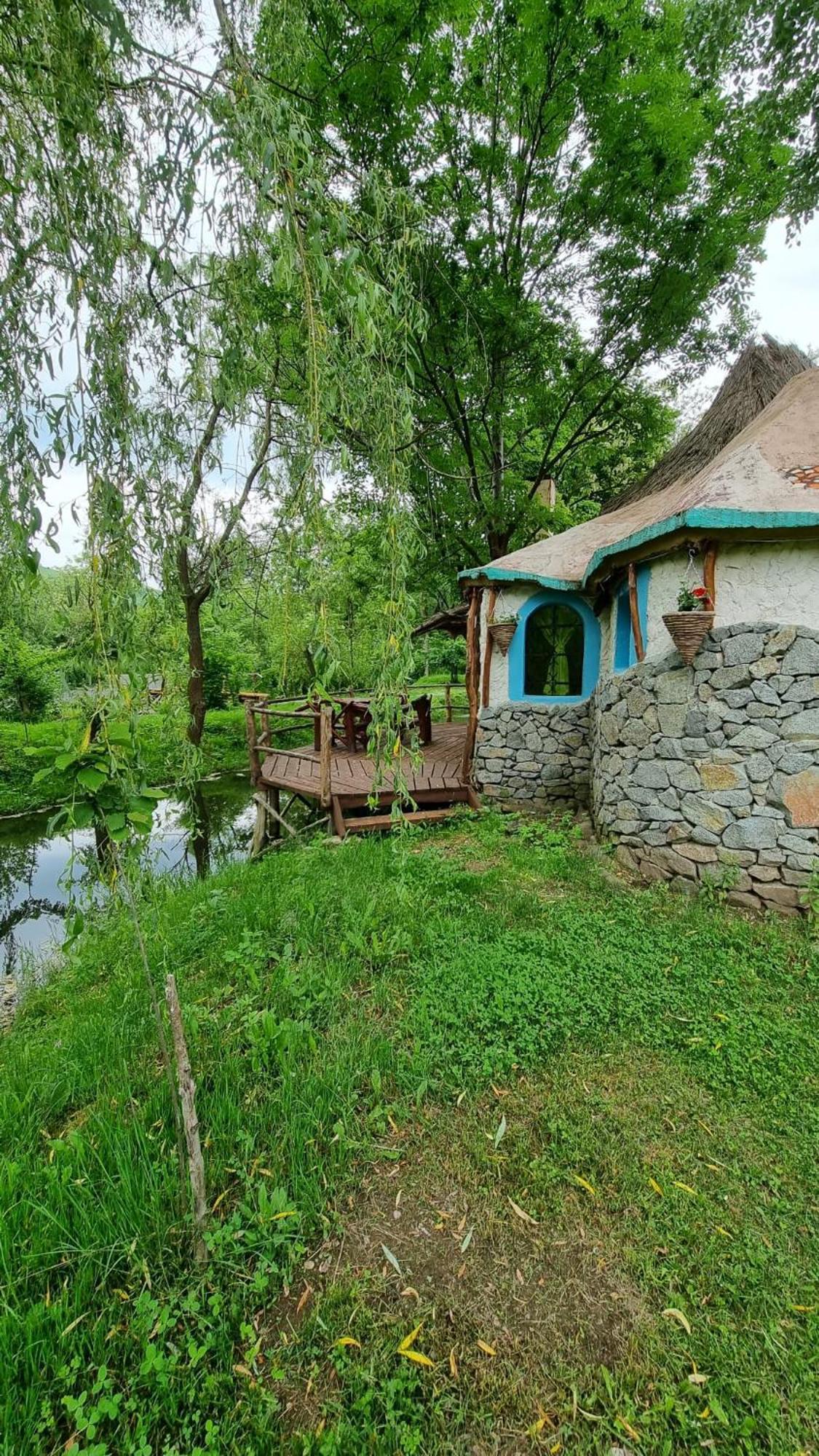 Viewtopia The Secret Land Valea Drăganului 外观 照片