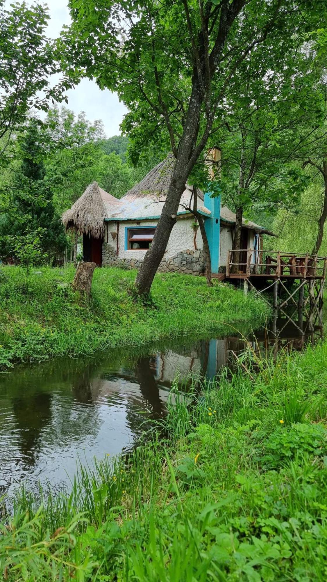 Viewtopia The Secret Land Valea Drăganului 外观 照片