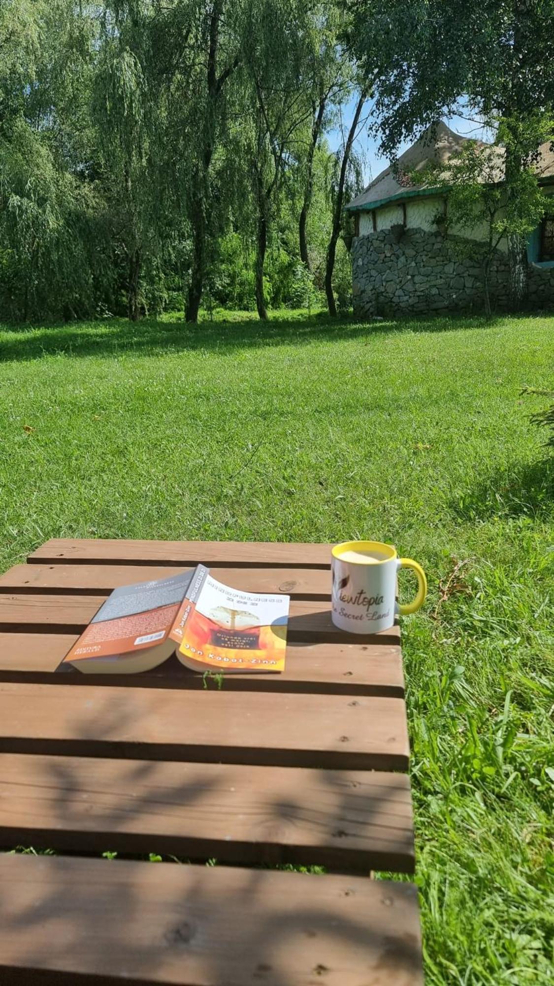 Viewtopia The Secret Land Valea Drăganului 外观 照片