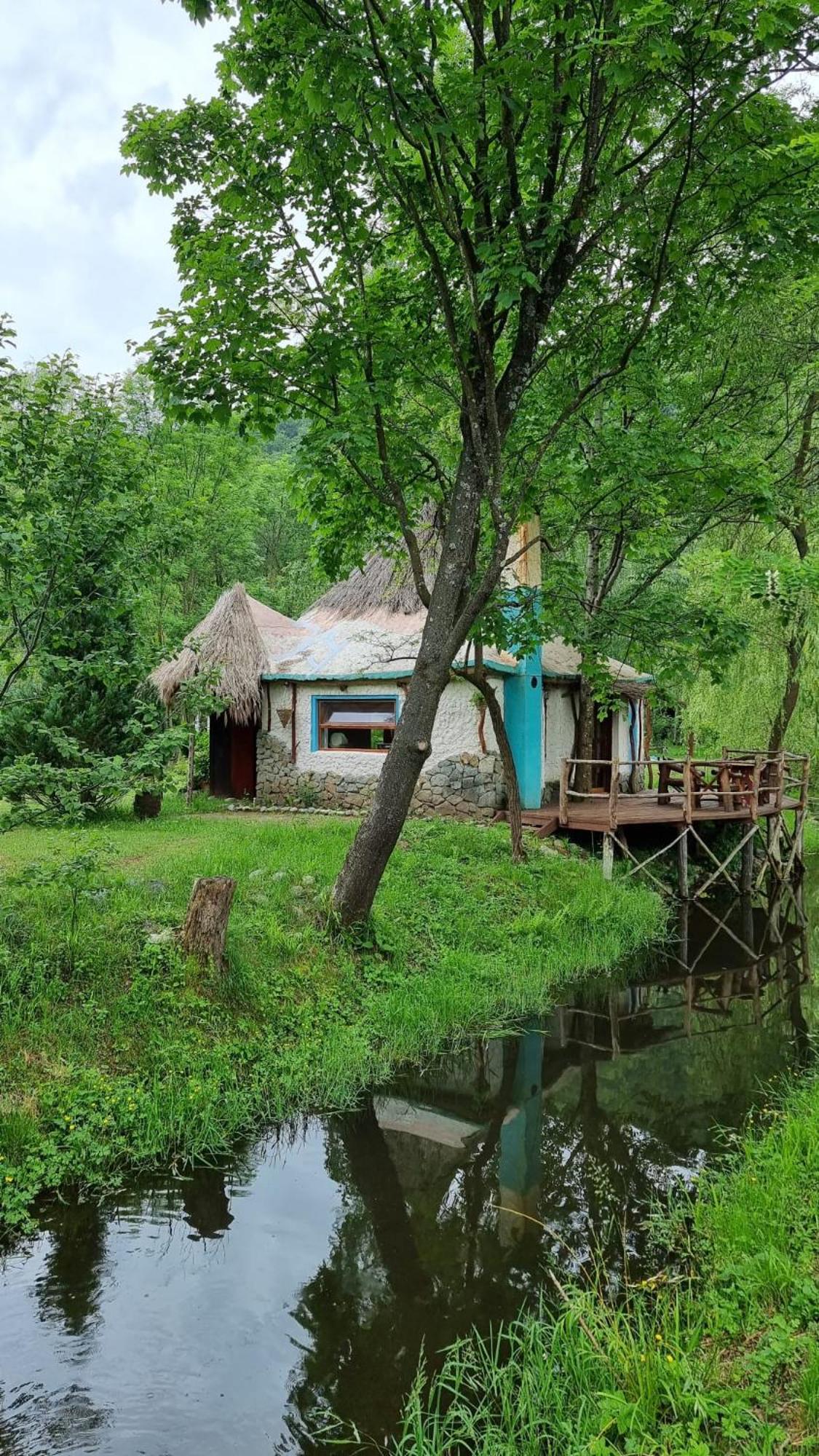 Viewtopia The Secret Land Valea Drăganului 外观 照片